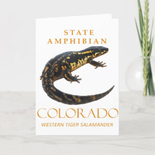Cartão De Festividades Território do Colorado Anfíbio O Tigre Ocidental