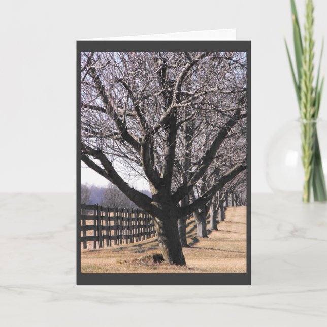 Cartão De Festividades Thank our Veterans 6 (Frente)