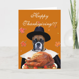 Cartão De Festividades Thanksgiving boxer dog greeting card