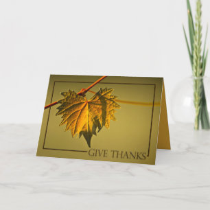 Cartão De Festividades Thanksgiving Card