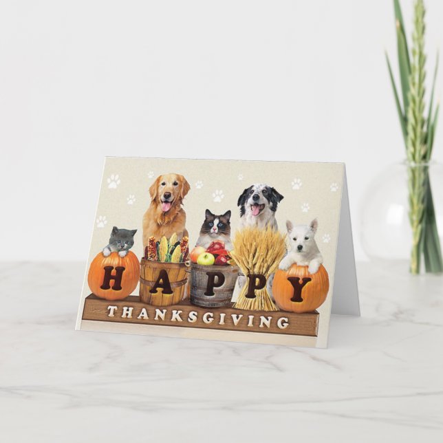 Cartão De Festividades Thanksgiving Day cat and dogs (Frente)