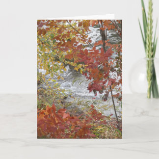 Cartão De Festividades Thanksgiving greeting card