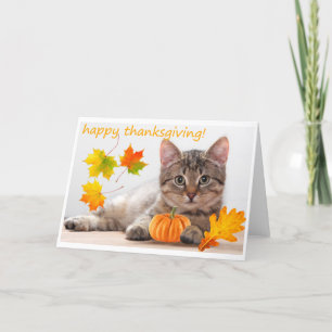 Cartão De Festividades Thanksgiving kitten