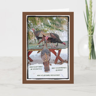 Cartão De Festividades Thanksgiving Trio of Turkeys Card - Blessings