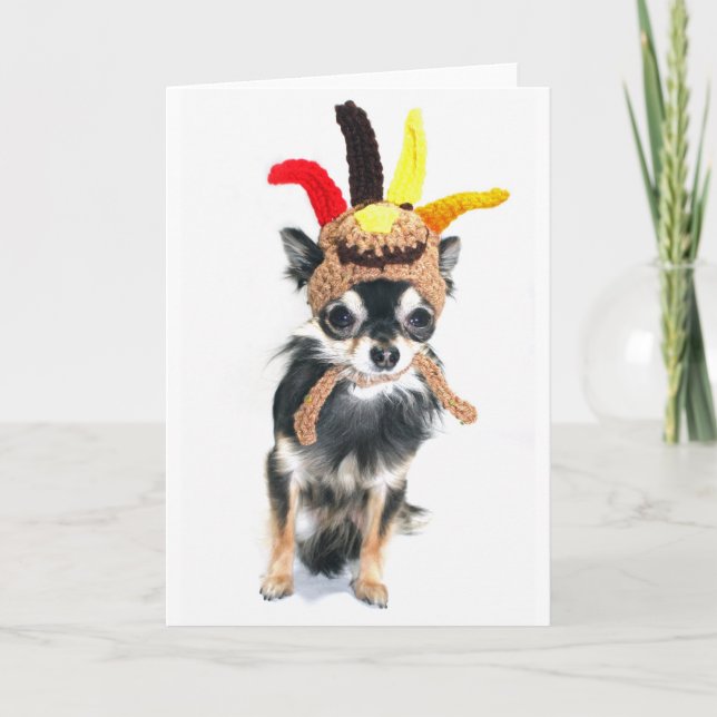 Cartão De Festividades Thanksgiving Turkey Chihuahua (Frente)
