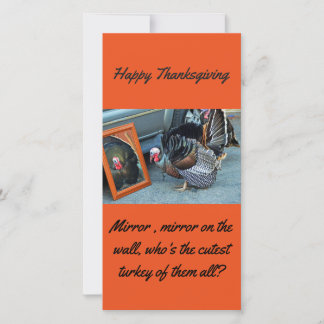 Cartão De Festividades Thanksgiving Turkey postcard