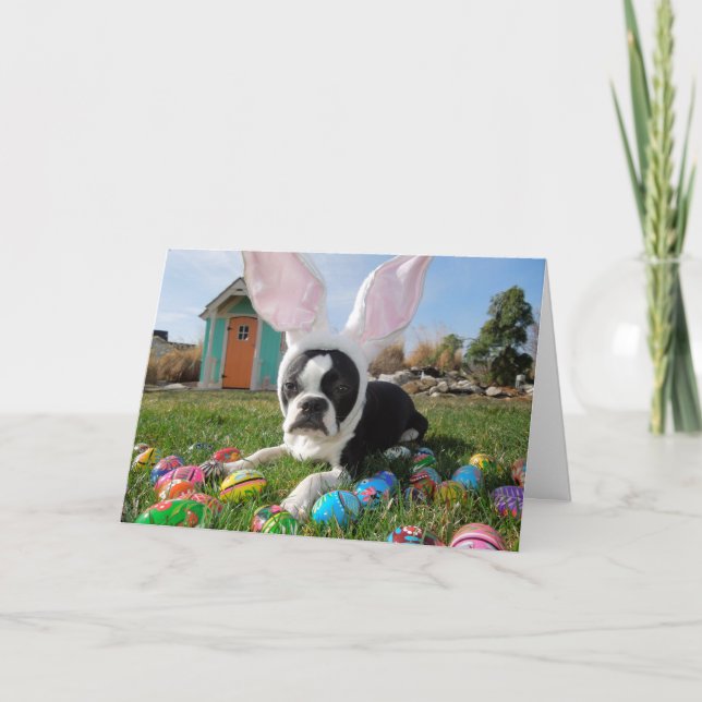 Cartão De Festividades That's SOME bunny!  Lola B. Boston Easter Card (Frente)