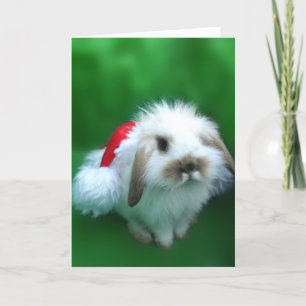 Cartão De Festividades The Easter, Umm, Christmas Bunny