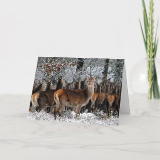 Cartão De Festividades The Herd of Deer Valentine Card