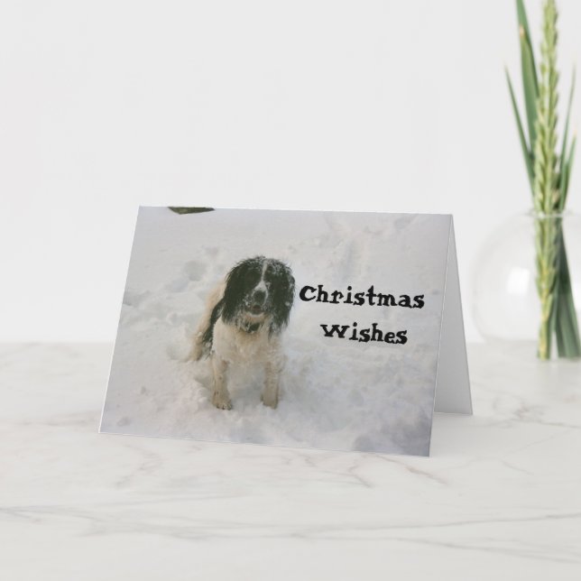 Cartão De Festividades The Nowzad Dogs Christmas Card (1) (Frente)