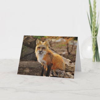 Cartão De Festividades The Red Fox Valentine Card
