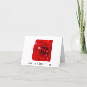 Cartão De Festividades The Rose of Sharon Christmas notecard
