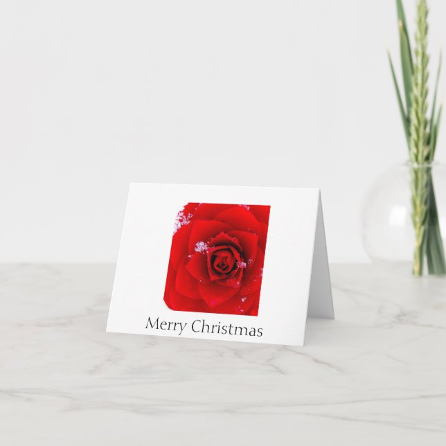 Cartão De Festividades The Rose of Sharon Christmas notecard (Frente)