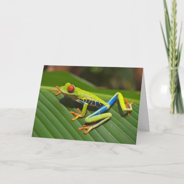 Cartão De Festividades The Tree Frog Valentine Card (Frente)