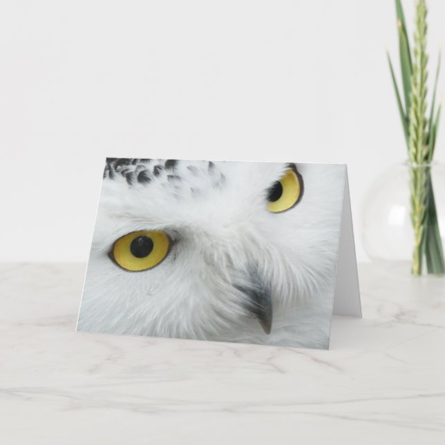 Cartão De Festividades The Yellow Eyed Owl Valentine Card (Frente)
