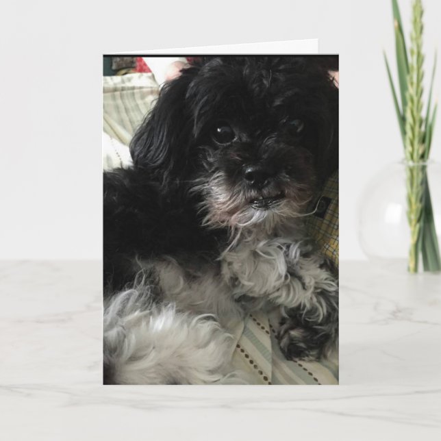 CARTÃO DE FESTIVIDADES "THINKING ABOUT HOW MUCH I LOVE YOU!" LOVE CARD (Frente)