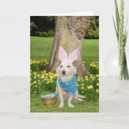 Cartão De Festividades Thinking of you at Easter