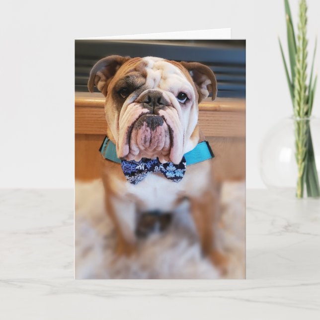 Cartão De Festividades Thor The Bulldog Merry Christmas Card (Frente)