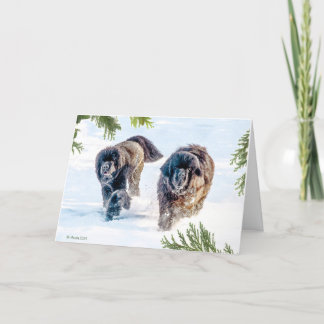 Cartão De Festividades Thundering Into the New Year!