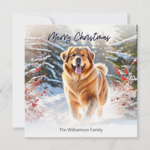Cartão De Festividades Tibetano Mastiff Cão na Cena de Neve Feliz Natal