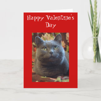 Cartão De Festividades Tickles