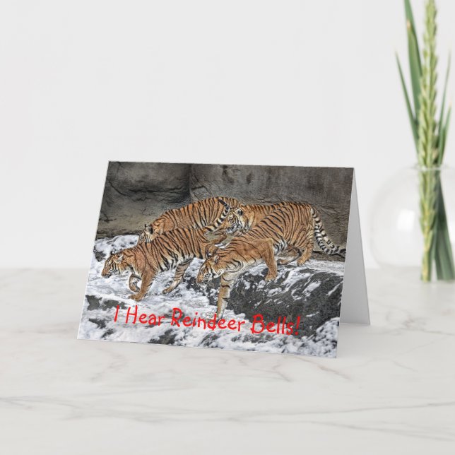 Cartão De Festividades Tiger Pack Holiday Card (Frente)
