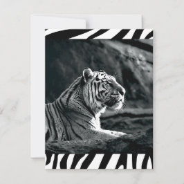 Cartão De Festividades Tigre preto e branco