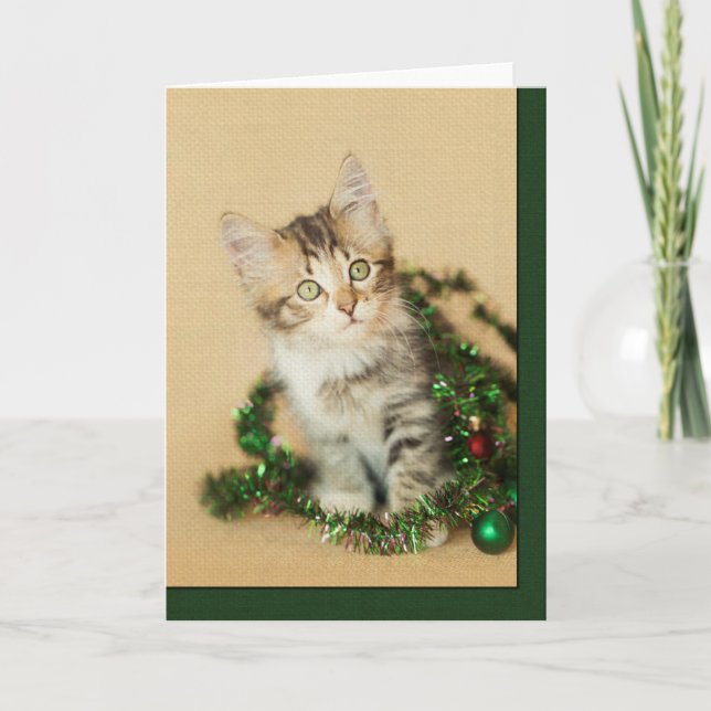 Cartão De Festividades Tinsel Kitten (Frente)