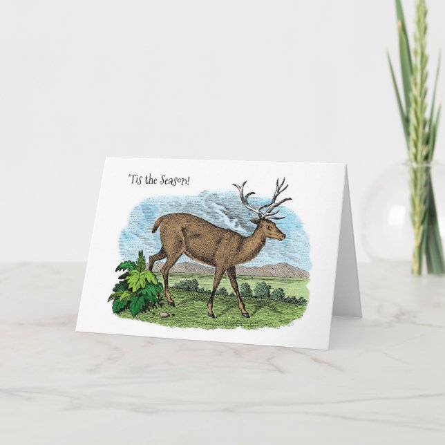 Cartão De Festividades Tis the Season Deer Hunter Christmas Season Card (Frente)
