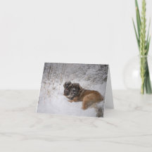 Togetherness Holiday