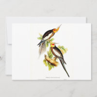 Tomada de Cockatoo
