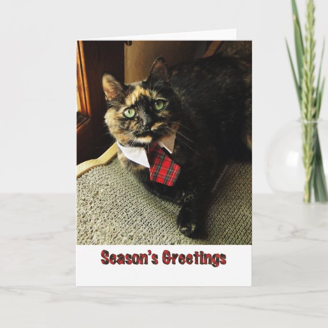 Cartão De Festividades Tortie Season's Greeting Card, Starring Binga (Frente)