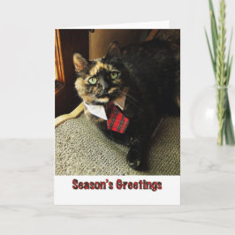 Cartão De Festividades Tortie Season's Greeting Card, Starring Binga