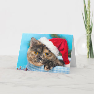 Cartão De Festividades Tortoiseshell Cat Purr-fect Holiday Season