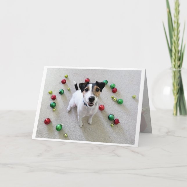 Cartão De Festividades Tossed Ornaments Jack Russell Terrier card (Frente)