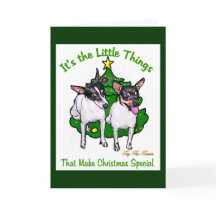 Toy Fox Terrier presentes de Natal