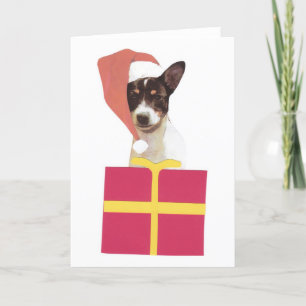 Cartão De Festividades Toy Fox Terrier Santa Hat