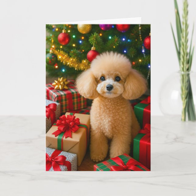 Cartão De Festividades Toy Poodle Holiday Card (Frente)