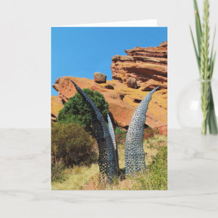 Cartão De Festividades Trabalho de arte no parque Red Rocks
