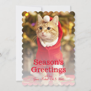Cartão De Festividades Traje de papais noeis vestidos de gatos vermelhos