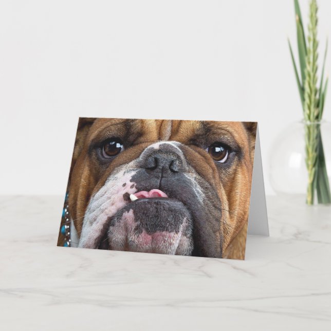 Cartão De Festividades Travesseiro decorativo Inglês Bulldog (Frente)
