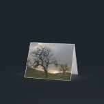 Cartão De Festividades Tree Mates: Winter Oaks with Mistletoe<br><div class="desc">Oaks stand together through eternity,  as  soul mates</div>