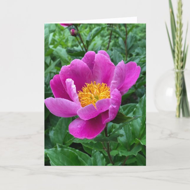 Cartão De Festividades Tree Peony Blank Note Card (Frente)
