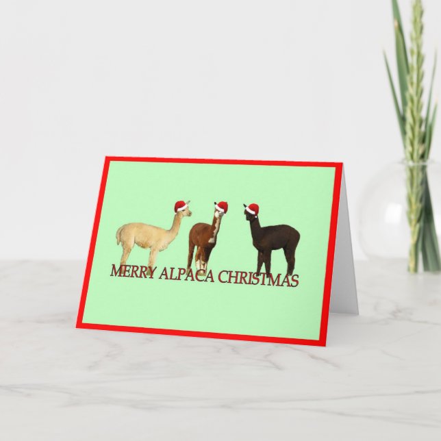 Cartão De Festividades Três Alpacas Natal (Frente)