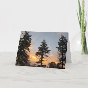 Cartão De Festividades Três Árvores ao Pôr do Sol de Inverno