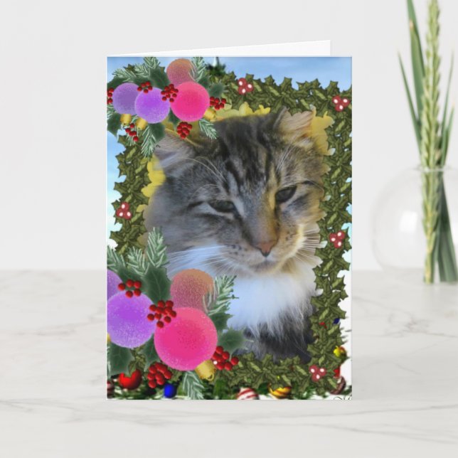 Cartão De Festividades "Trooper The Cat" Heart To Heart Greeting Card (Frente)