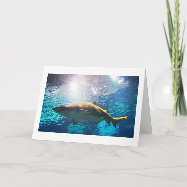 Cartão De Festividades Tubarão-tigre-areia (Frente)