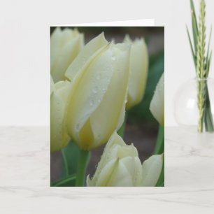 Cartão De Festividades Tulipas Após A Chuva