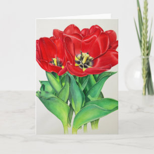 Cartão De Festividades Tulipas Vermelhas