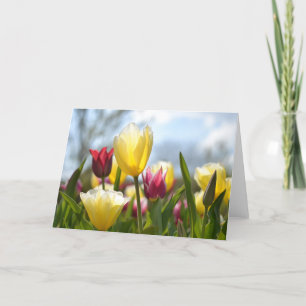 Cartão De Festividades Tulipas vermelhas, amarelas e cor-de-rosa no Sol